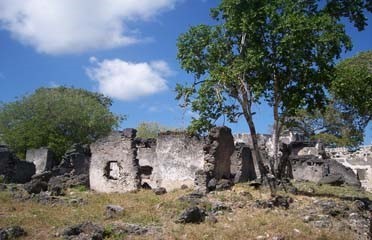 Figure 1. Songo Mnara (Image Copyright: Songo Mnara Urban Landscape Project).